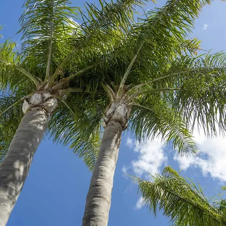 Вилла Lv Premier Algarve Fu1- Pool, Ac, Garden, Sea View Монкарапашу